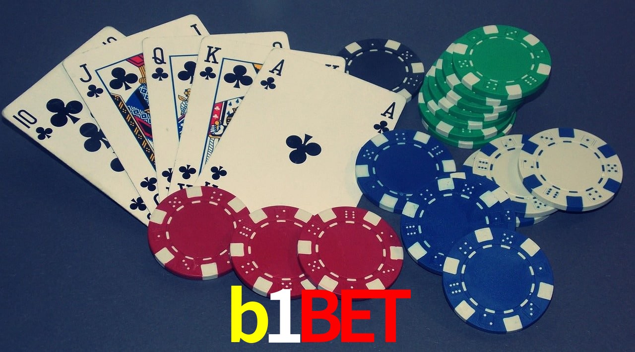 Casino VIP b1bet